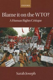 Blame it on the WTO?: A Human Rights Critique