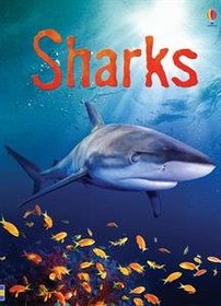 Sharks Hardback Editions/E (Beginners)