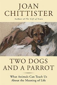 Two Dogs and a Parrot: What Animals Can Teach Us About the Meaning of Life