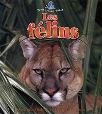 Les Felins (Le Petit Monde Vivant / Small Living World) (French Edition)