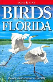 Birds of Florida