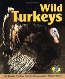 Wild Turkeys (Early Bird Nature Books)