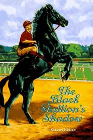 The Black Stallion's Shadow (Black Stallion, Bk 21)