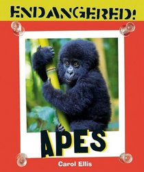 Apes (Endangered!)