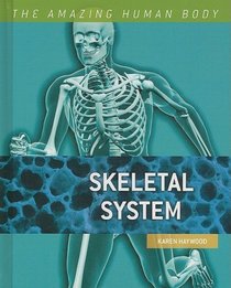 Skeletal System (The Amazing Human Body)
