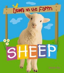 Sheep (Down on the Farm)