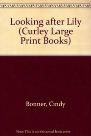 Looking After Lily (Curley Large Print Books)