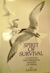 Spirit of survival;: A natural and personal history of terns (A Sunrise book)