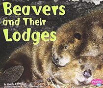 Beavers and Their Lodges (Animal Homes)