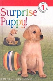 Surprise Puppy (DK Readers: Level 1 (Hardcover))
