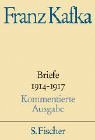 Briefe 1914-1917 Kommentierte Ausgabe.