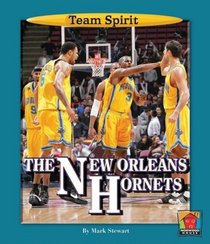 The New Orleans Hornets (Team Spirit)