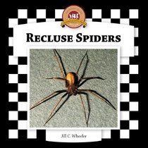 Recluse Spiders (Spiders Set II)