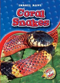 Coral Snakes (Blastoff! Readers Level 3: Snakes Alive)