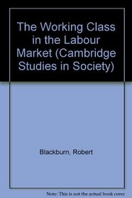 The Working Class in the Labour Market (Cambridge Studies in Society)