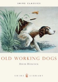 Old Working Dogs (Shire Albums)