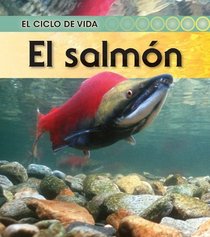 El salmon / Salmon (El Ciclo De Vida / Life Cycle of a. . .) (Spanish Edition)