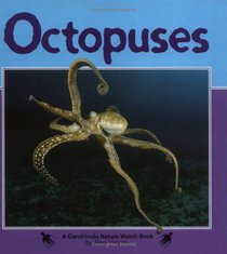 Octopuses (Nature Watch)