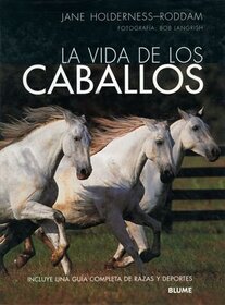 La vida de los caballos