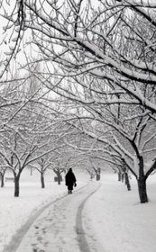 Blank Book Snowy Path