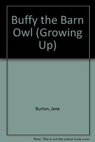 Buffy the Barn Owl (Growing Up)