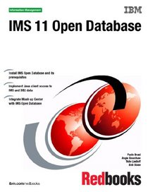 Ims 11 Open Database