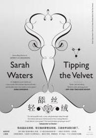 Tipping the Velvet (Chinese Edition)