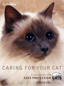Caring For Your Cat