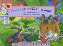 Deer Mouse at Old Farm Road (Smithsonian's Backyard) (Smithsonian's Backyard)