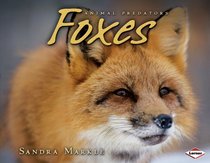 Foxes (Animal Predators)