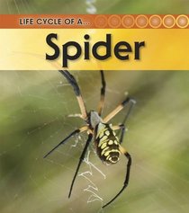 Spider: 2nd Edition (Life Cycle of a)