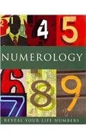 Numerology: Reveal Your Life Numbers
