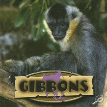 Gibbons (Amazing Apes)