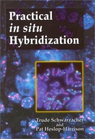 Practical in Situ Hybridization