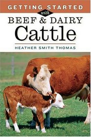 Getting Started with Beef & Dairy Cattle