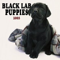 Black Labrador Retriever Puppies 2005 Wall Calendar