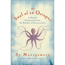 The Soul of an Octopus: A Playful Exploration into the Wonder if Consciousess