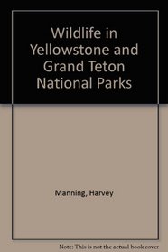 Wildlife in Yellowstone and Grand Teton National Parks