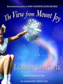 The View From Mount Joy