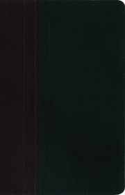 NIV, Study Bible, Imitation Leather, Brown/Black, Lay Flat
