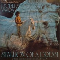 Stallion of a Dream