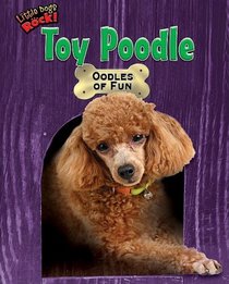 Toy Poodle: Oodles of Fun (Little Dogs Rock!)