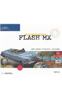Macromedia Flash MX Complete - Design Professional