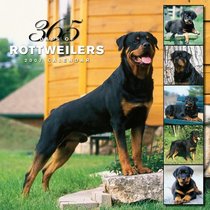 Rottweilers 365 Days 2007 Calendar