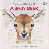 A Day in the Life of a Baby Deer: The Fawn's First Snowfall
