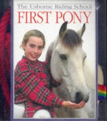 The Usborne Riding School First Pony Kit (Riding School)