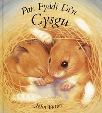 Pan Fyddi Di'n Cysgu (Welsh Edition)