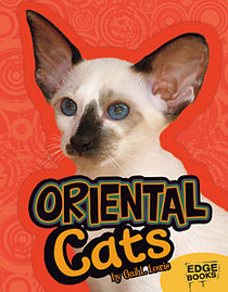 Oriental Cats (Edge Books: All about Cats)
