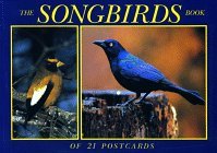 Song Birds