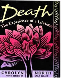 Death: The Experience of a Lifetime (Fringe Series, V. 5)